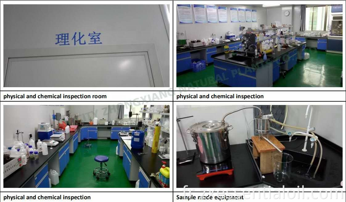 Approvisionnement d'usine Nature pure en gros CAS 4871-97-0 Huile de curcuma Zedoary, huile d'Ezhu avec les meilleures ventes